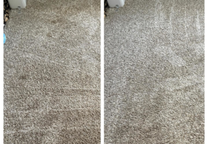 Impressive before and after results of residential carpet cleaning by A-Team Carpet Care in Chesapeake, VA.
