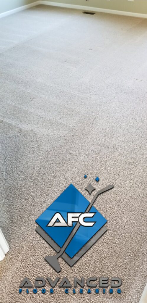 Results of professional residential carpet cleaning showing distinct patterns by Advanced Floor Cleaning, Inc. in Elgin, IL