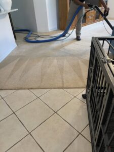 A professional performing residential carpet cleaning with a wand, leaving clean lines, by Carpet Care in Reisterstown, MD.
