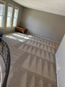 Residential carpet cleaning service showing fresh vacuum lines by Midwest Carpet Rescue in Omaha, NE.