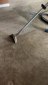 Residential carpet cleaning in progress, showing a clean path on a brown carpet by Superior Carpet Cleaning in Greenville, SC.