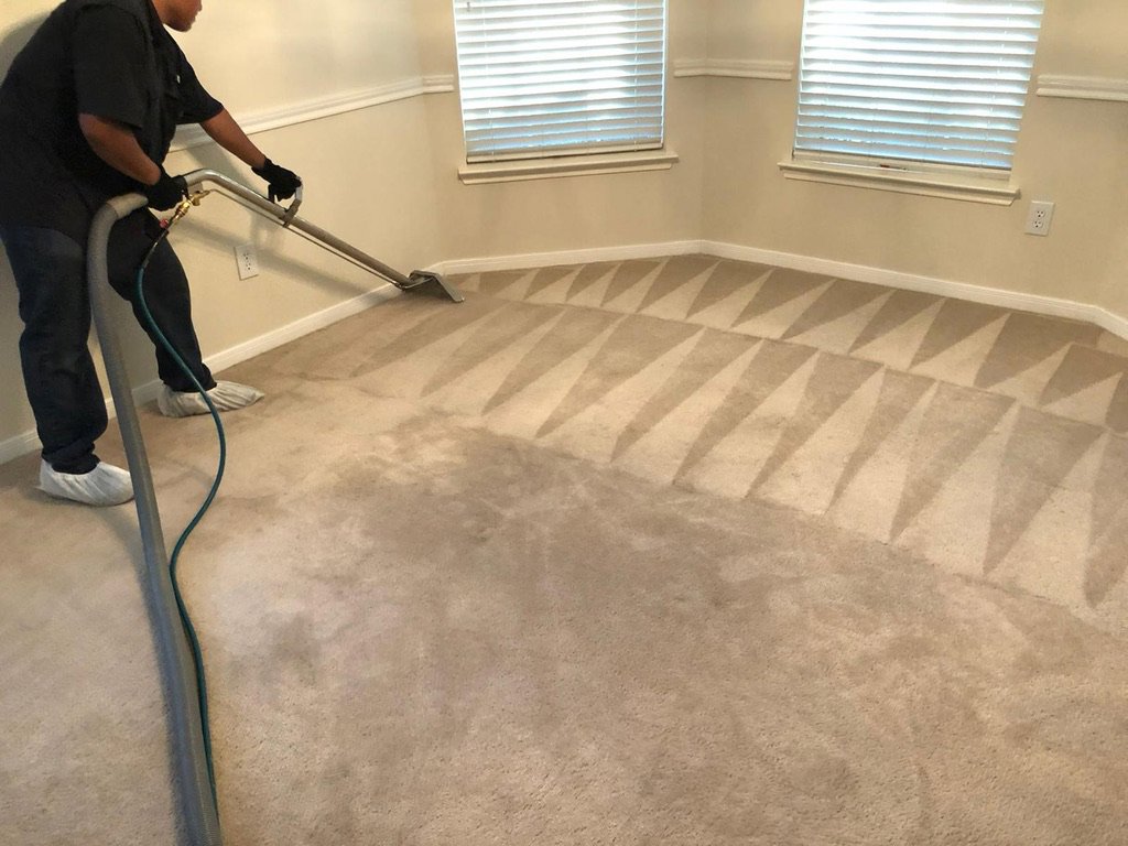 A technician from Aqualux Carpet Cleaning performing residential carpet cleaning in Dallas, TX, showing clean lines.