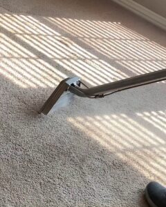 Close-up of a residential carpet being professionally cleaned by The Floor Care Guys in Bentonville, AR.