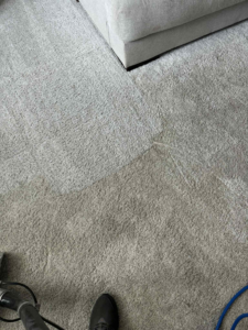 Residential carpet cleaning showing a clean path and dirty area by Two Sheas Restoration in Tulsa, OK.