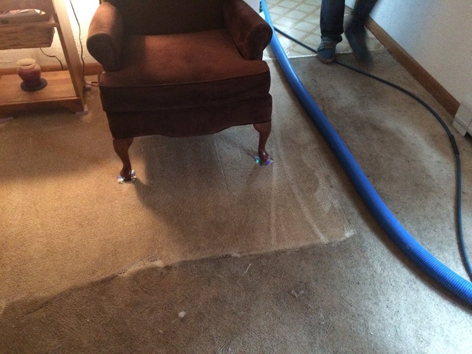 Residential carpet cleaning in progress with a cleaning hose and furniture protectors by Arthur's Always Clean in Rochester, NH.