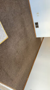 A residential carpeted floor being cleaned, showing a distinct clean strip, by Zerorez ChicagoLand in Naperville, IL.