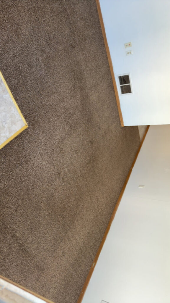 A residential carpeted floor being cleaned, showing a distinct clean strip, by Zerorez ChicagoLand in Naperville, IL.