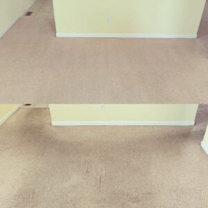 A before and after comparison of a residential carpet after deep cleaning by Columbia Carpet Cleaning in Columbia, MO.