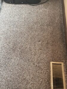 A view of a residential carpet floor, showcasing the type of work performed by Homestead Carpet Care in Rapid City, SD.