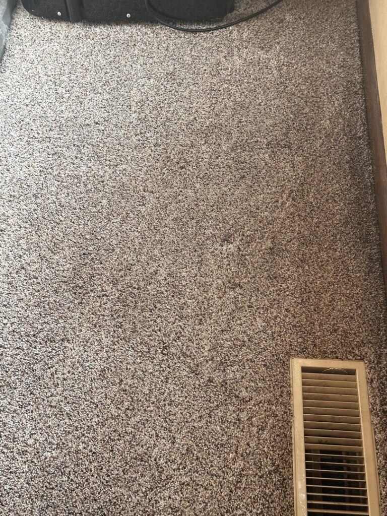 A view of a residential carpet floor, showcasing the type of work performed by Homestead Carpet Care in Rapid City, SD.