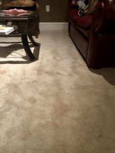 A cozy residential living room featuring new carpet installation by Belmont Flooring in Boston, MA