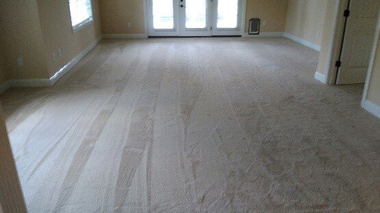 A clean, light-colored residential carpet with vacuum lines installed by Plaza Carpets in Lexington, KY