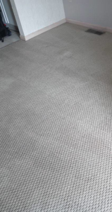 Residential carpet with visible cleaning lines after service from Rowland Brothers Carpet Cleaning Service in Morgantown, WV