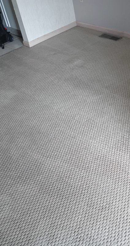 Residential carpet with visible cleaning lines after service from Rowland Brothers Carpet Cleaning Service in Morgantown, WV