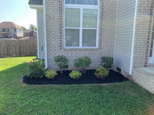 Residential flower bed design with fresh mulch and plants by Cutting Edge Lawn Services in Islip, NY