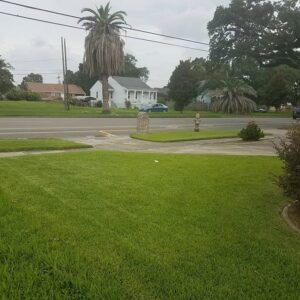 A residential front lawn with a freshly mowed appearance, maintained by Mcfaith Lawn Care LLC in New Orleans, LA.