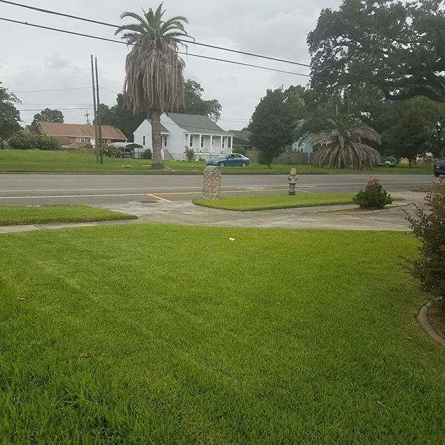 A residential front lawn with a freshly mowed appearance, maintained by Mcfaith Lawn Care LLC in New Orleans, LA.