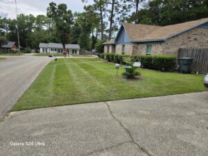 A residential front lawn with perfectly mowed stripes, showcasing the quality work of Southern Rooted Lawns in Mobile, AL.