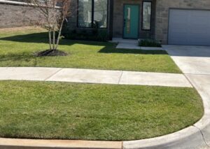 A neatly maintained residential front yard with a freshly mowed lawn and mulched tree by Lawns Plus More LLC in Edmond, OK.
