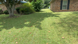 A residential lawn showing professional maintenance by Minors lawn care service in Canton, OH.