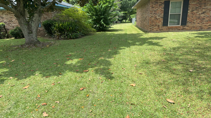 A residential lawn showing professional maintenance by Minors lawn care service in Canton, OH.