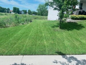 A perfectly mowed residential lawn with clean stripes, demonstrating K&R Lawn Care's services in Pass Christian, MS.