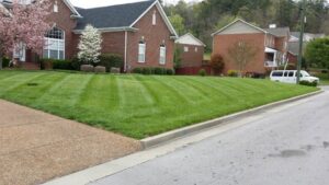 A beautifully maintained residential lawn after a professional mowing service by King Lawn Care in Alexandria, VA.