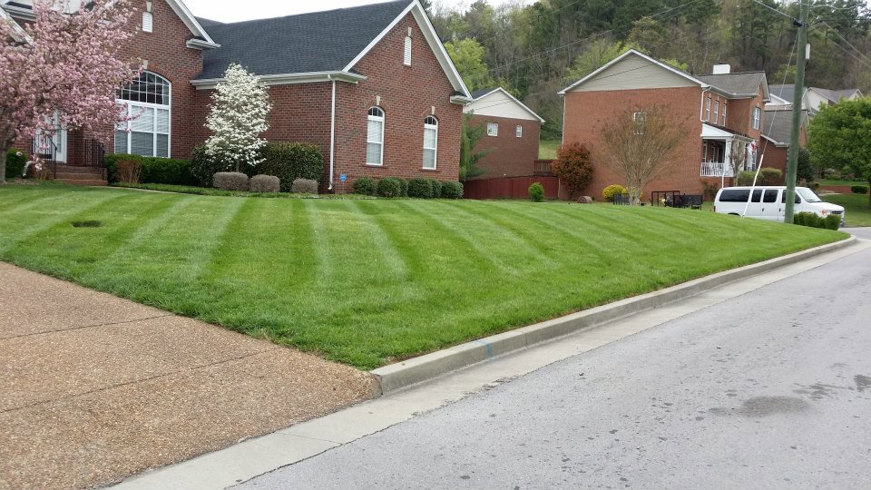 A beautifully maintained residential lawn after a professional mowing service by King Lawn Care in Alexandria, VA.