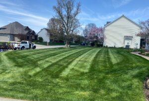 A residential lawn with fresh mowing stripes, demonstrating professional lawn care by Roots Lawn Care Solutions in Granger, IN.