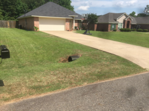 A residential lawn showing fresh mowing stripes and a clean appearance, provided by Taylor Cutts lawn Care Service llc in Shreveport, LA