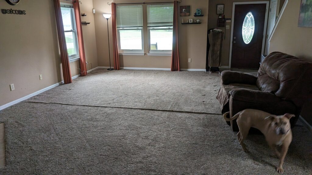 A residential living room with new brown carpet installed by Carpets Mostly in Indianapolis, IN