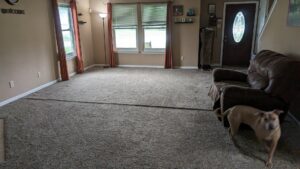 A residential living room with new brown carpet installed by Carpets Mostly in Indianapolis, IN