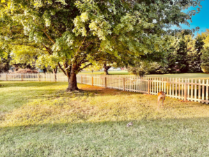 A residential backyard with a sturdy wooden picket fence installed by Preston's Fencing and Decks LLC in Murfreesboro, TN.
