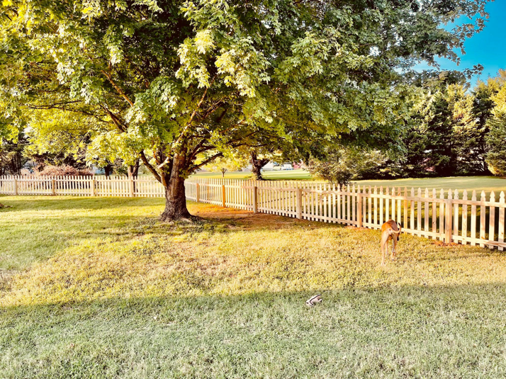 A residential backyard with a sturdy wooden picket fence installed by Preston's Fencing and Decks LLC in Murfreesboro, TN.