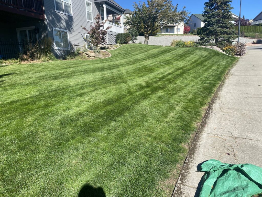 A wide view of a residential property's expansive lawn, showcasing beautiful mowing stripes from McLain Lawn & Landscape in Spokane, WA.