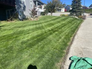 A wide view of a residential property's expansive lawn, showcasing beautiful mowing stripes from McLain Lawn & Landscape in Spokane, WA.