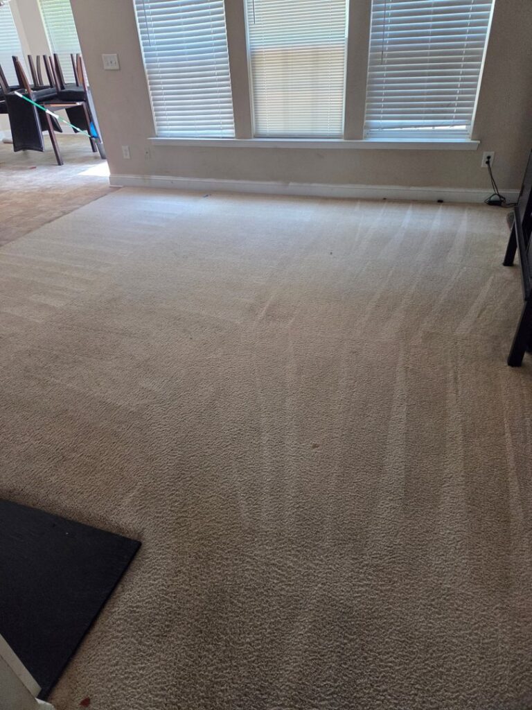 A residential room with freshly cleaned carpet showing cleaning lines by My Carpet Cleaner Nashville, TN