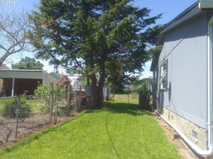 A residential side yard with green grass and a large tree, maintained by Tony's Lawn Care Services in Greenville, SC.