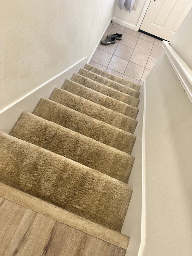 A residential stair carpet being professionally cleaned by Mexsteam in San Diego, CA