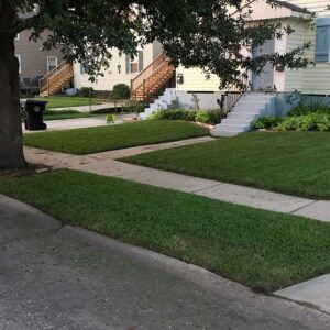 A residential street with multiple houses and neatly maintained lawns by Mcfaith Lawn Care LLC in New Orleans, LA.