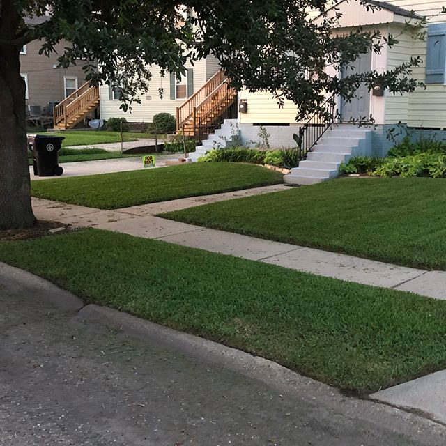 A residential street with multiple houses and neatly maintained lawns by Mcfaith Lawn Care LLC in New Orleans, LA.