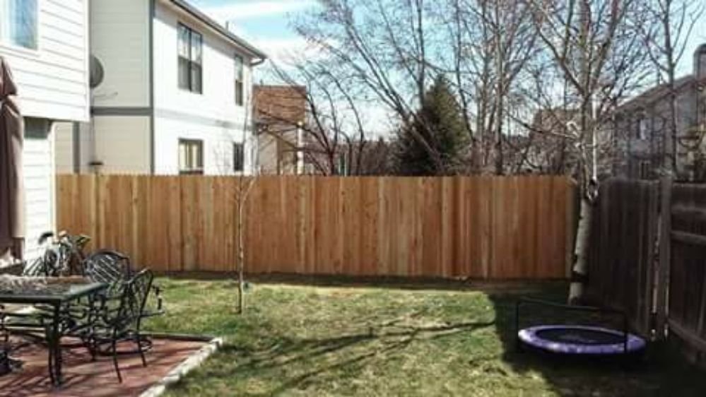 A newly installed wood privacy fence in a residential backyard by Done Wright Fencing and Welding in Denver, CO.
