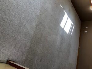 A beautifully restored and clean carpet after service from Level 8 Steam Cleaning & Restoration in West Fargo, ND.