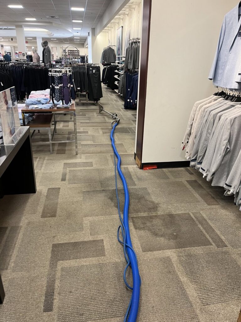 Professional carpet cleaning in a retail store aisle by The Floor Care Guys in Bentonville, AR.