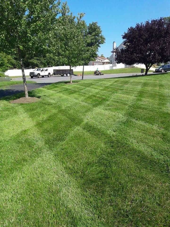 A riding mower creating neat stripes on a large lawn by John's Lawn Care Service's in Saint Petersburg, FL