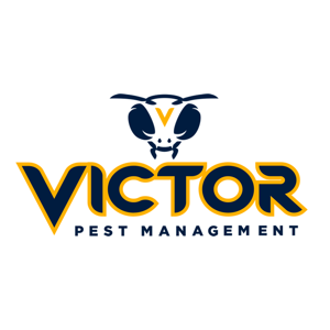 Rochester Pest Experts