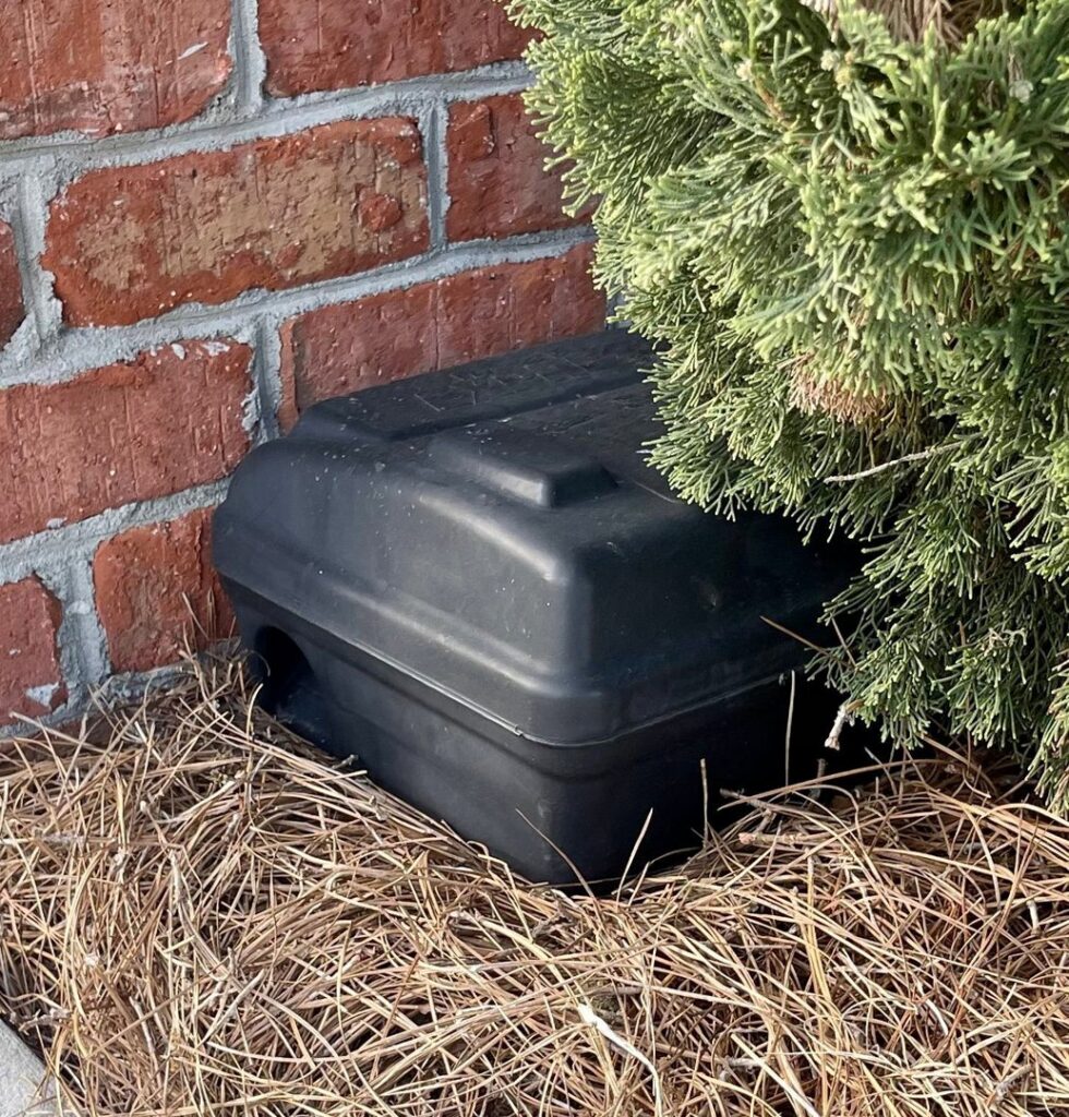 A black rodent bait station placed discreetly next to a brick wall and shrubbery by Canady & Son Exterminating in Wilmington, NC.