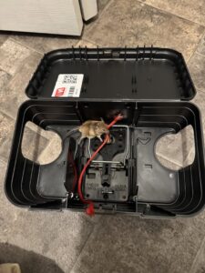 An exterior rodent bait station placed next to a house for pest control by Hemi Pest Control in Meridian, ID.