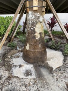 An exterior rodent bait station placed next to a building wall by Sure Shot Pest Solutions in Fort Lauderdale, FL.