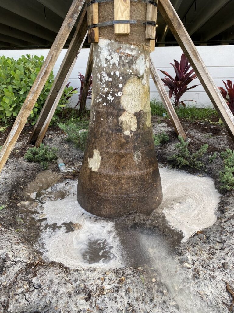 An exterior rodent bait station placed next to a building wall by Sure Shot Pest Solutions in Fort Lauderdale, FL.